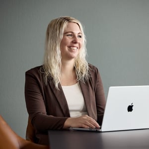 Hvor fungerer Shopify B2B godt?