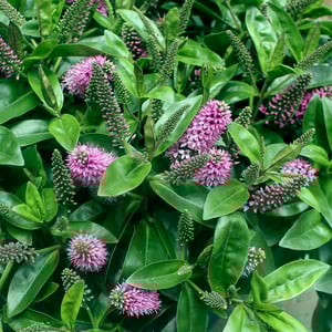 Fra usikre tal til 98 % datanøjagtighed