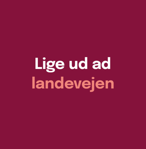 amu-danmark-citat-01