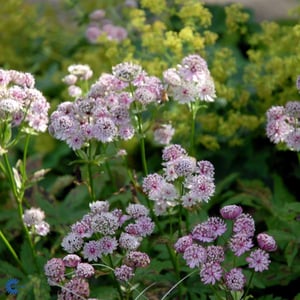 I dag spores 97-98%&nbsp;af omsætningen korrekt