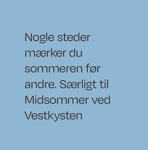 midsommer-ved-vestkysten-citat-02